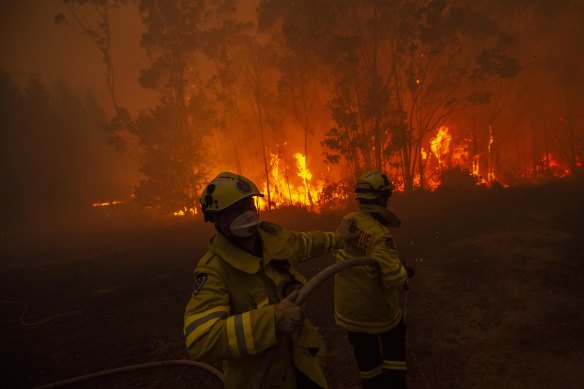 Firefighters battle a blaze near Mangrove Mountain in December. An independent expert inquiry into NSW's bushfire season is under way.