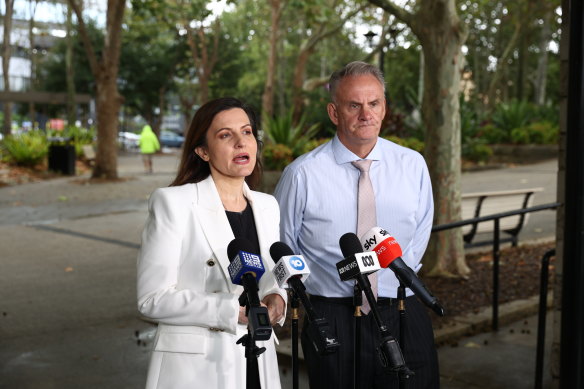 One Nation upper house candidate Tania Mihailuk, a former Labor MP, first spoke about Asfour’s spending under parliamentary privilege.