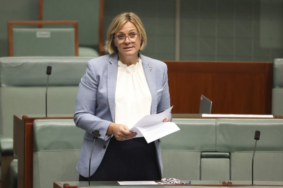 Crossbench MP Zali Steggall at Parliament House in Canberra on Tuesday.