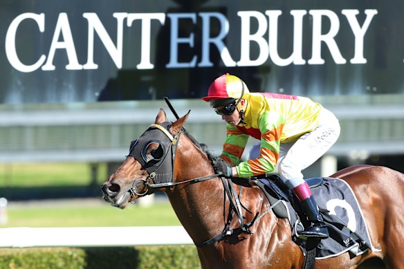 Racing returns to Canterbury on Monday with an eight-race programme.