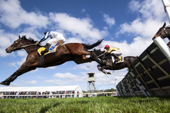 Horses clear the jumps at Warrnambool.