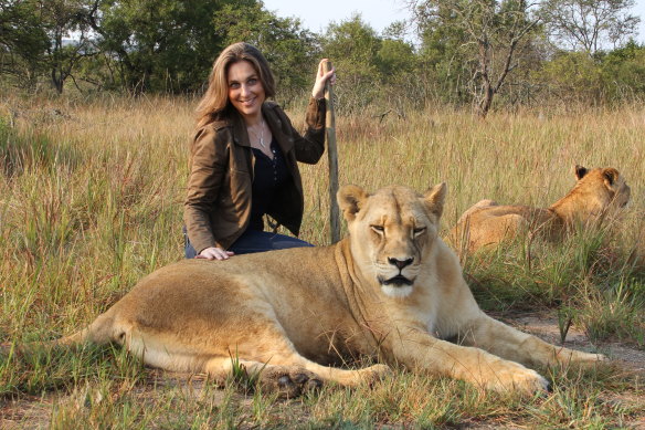 After learning that lions are vulnerable to extinction, Rubin returned to Africa in 2014. 