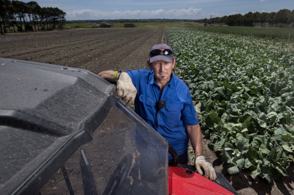 Farmer Paul Gazolla is having to dump 30 per cent of his vegetables because he doesn’t have enough staff to pick them.