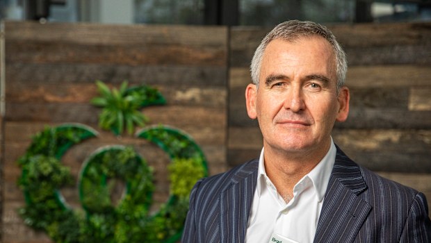 Woolworths freezes price of basic supermarket grocery items until end ...