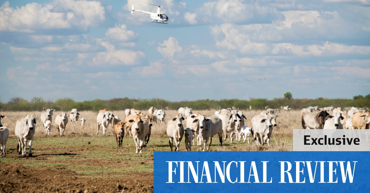 Brett Blundy sells Walhallow cattle station for record $250m - Vimarsana News
