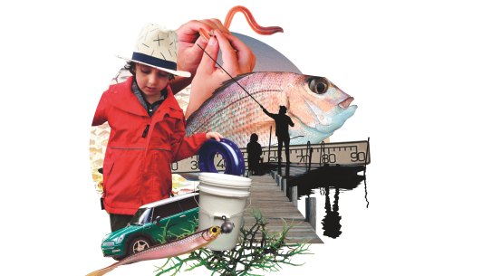 Illustration by Tanya Cooper/ illustrationroom.com.au