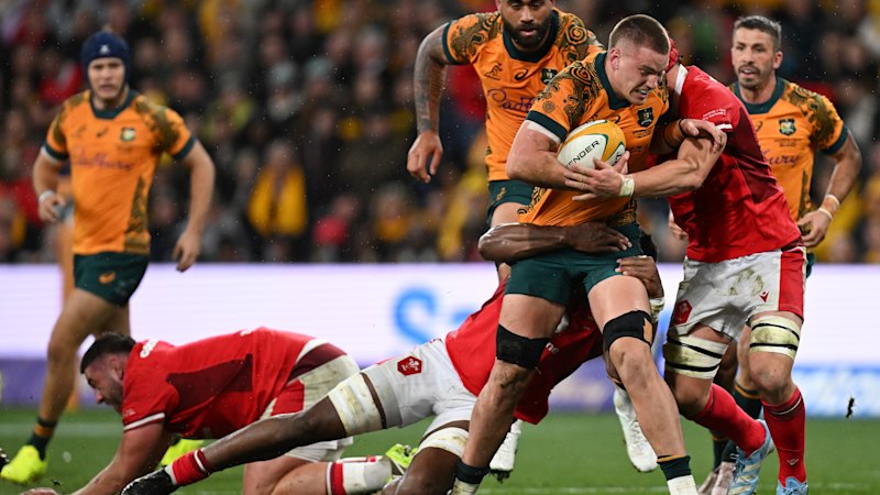 Kiwi bullies will be good test for the Wallabies’ next weapon