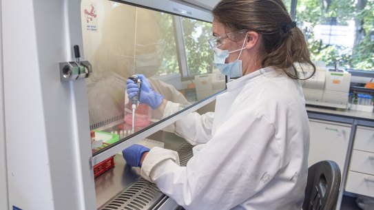 The University of Oxford samples from coronavirus vaccine trials are handled inside the Oxford Vaccine Group laboratory. 