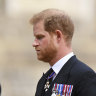 Prince Harry’s memoir a ‘beautiful read’ not a takedown, say insiders