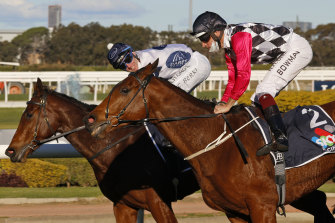 Arctic Thunder (left) beat all bar Casino Mondial home in a Midway last month and tackles the sixth over 1550m at Randwick on Wednesday.