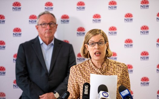NSW Chief Health Officer Dr Kerry Chant and NSW Health Minister Brad Hazzard on Sunday.