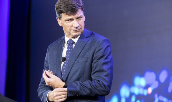 Energy Minister Angus Taylor at the Financial Review Energy and Climate Summit last week.