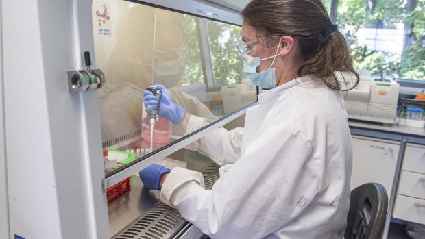 The University of Oxford samples from coronavirus vaccine trials are handled inside the Oxford Vaccine Group laboratory. 