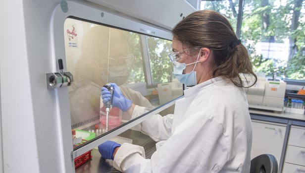 The University of Oxford samples from coronavirus vaccine trials are handled inside the Oxford Vaccine Group laboratory. 
