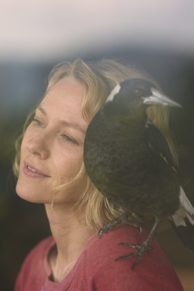 Naomi Watts with a magpie co-star in Penguin Bloom. 