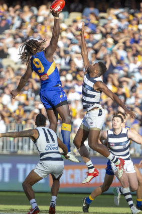 A class above: West Coast's Nic Naitanui outrucks Geelong's Esava Ratugolea during their round three clash at Optus Stadium in Perth.
