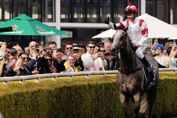 The popular grey has drawn barrier five for Saturday’s big race.