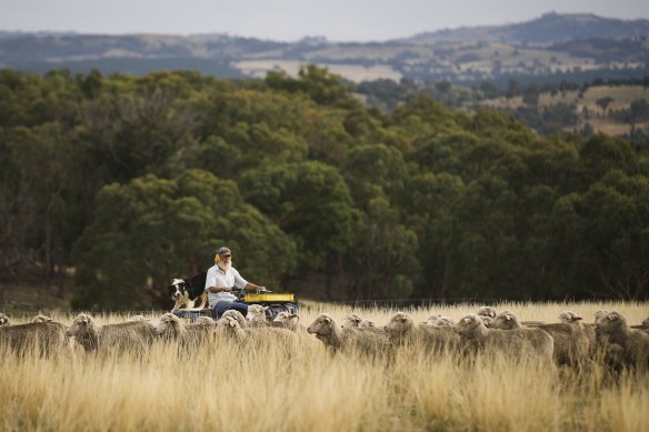 The appetite of farmers to deliver carbon abatement is untested.