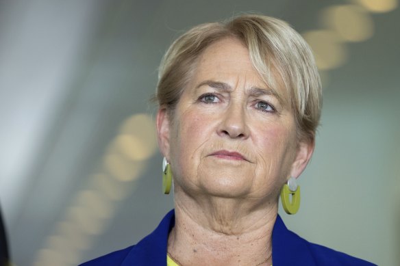 La sénatrice des Verts Barbara Pocock est sceptique à l'égard de toute entreprise issue de PwC.