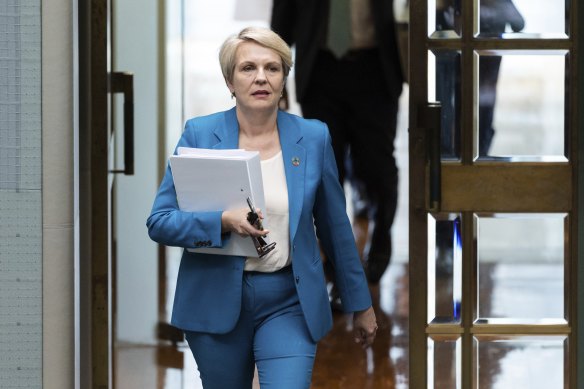 Environment and Water Minister Tanya Plibersek. 