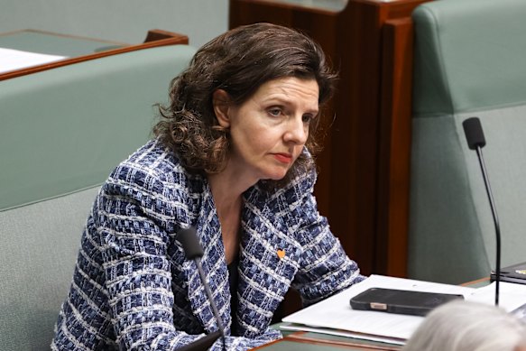 Member for Wentworth Allegra Spender during question time at Parliament House in Canberra on Tuesday 27 October 2026.