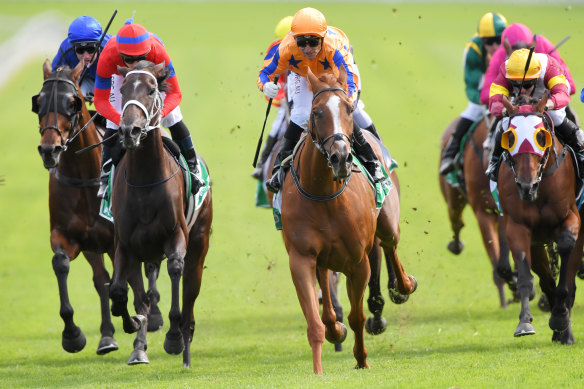 Te Akau Shark rounds them up and runs clear in the Chipping Norton Stakes. Fierce Impact (right) finished third.