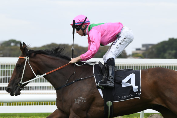 Tommy Berry and Amangiri score at Randwick last year.  The pair reunite at Rosehill on Saturday.