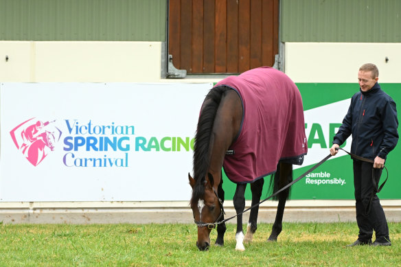 Victoria Road, pictured at the Werribee quarantine facility.