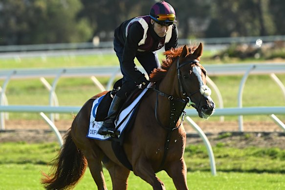 The Joseph O’Brien-trained Defiantly during a track gallop at Werribee.