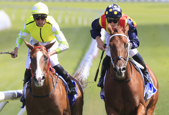 Eduardo (left) gets the better of Nature Strip in last month’s Challenge Stakes
