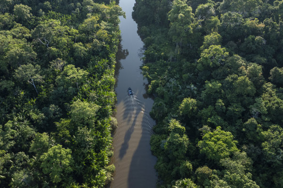 In recent years, the Amazon has experienced a boom in Western tourists travelling to the retreats.