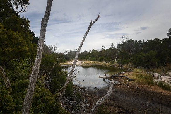 The Warrigal Creek Massacre site in South Gippsland.