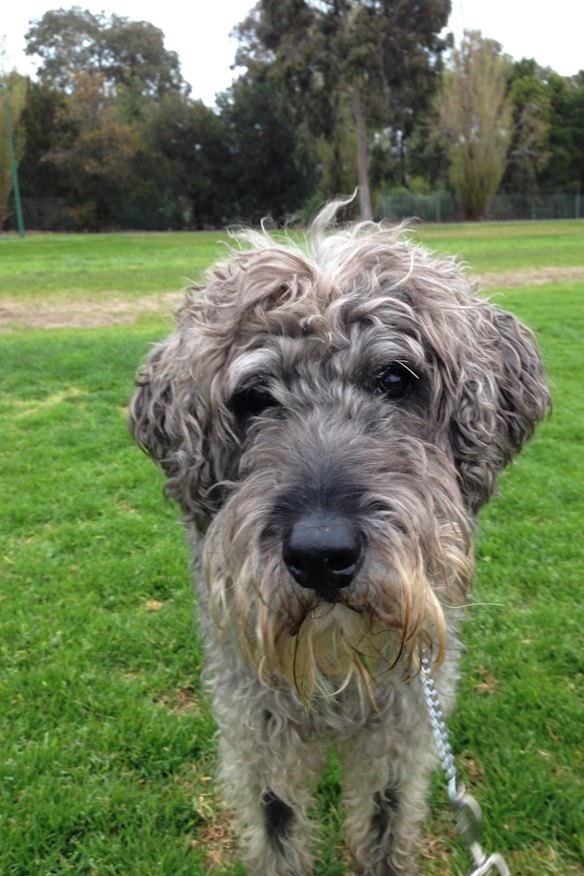 Pluto: Gone but not forgotten.