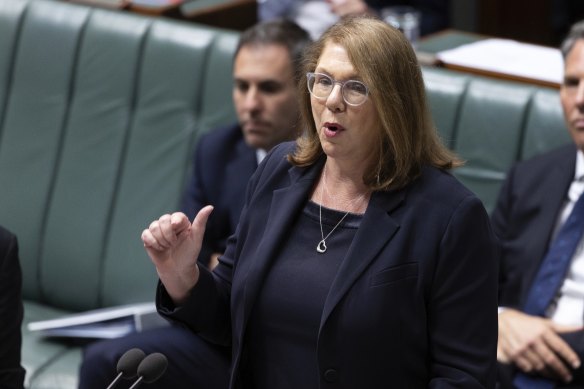 Transport Minister Catherine King is facing criticism across the political spectrum.