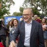 Birthday gift: Albanese asks for election victory in Dunkley