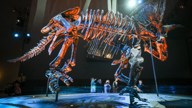 The dinosaur exhibition at the Melbourne Museum. Museums Victoria chief executive Lynley Crosswell says the collections inspire visitors to engage in “life’s deep mysteries and big questions”.