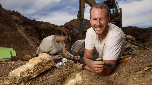 Queensland plesiosaur fossil managed to keep its head screwed on