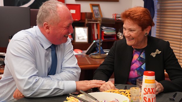 Barnaby Joyce, the Nationals-to-One Nation pathfinder, and Pauline Hanson enjoy a steak cooked on her sandwich press in November.