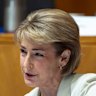Liberal MP Michaelia Cash has claimed the travel allowance more frequently than any other senior politician.