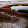 South Australia's disappearing springs raise questions for miner BHP