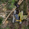 Logging operations earlier this month inside the proposed Great Koala National Park.