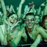 Record crowds lapped up the good times at Laneway in 2024.