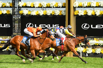 Purple Sector charges home to win on Melbourne Cup day in 2020.