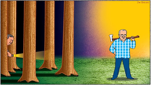 Illustration: Jim Pavlidis