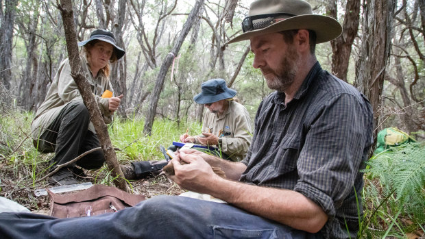 Researchers Hayley Ricardo and Tony Mitchell (L-R) from DELWP and Dr Rohan Clarke from Monash University capturing eastern bristlebirds at Howe Flat, east of Mallacoota.