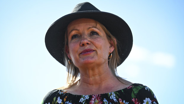 Federal Environment Minister Sussan Ley.