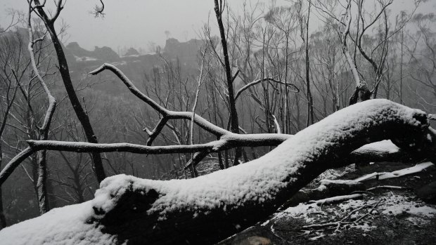 Snow falls in the Blue Mountains. 