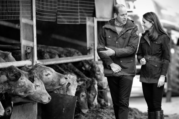 No masks a year earlier on an official visit to Ireland as Megxit was unfolding.