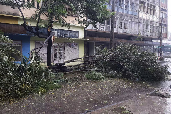 Trees are strewn across a street in Quelimane, Mozambique, on Saturday, March 11.