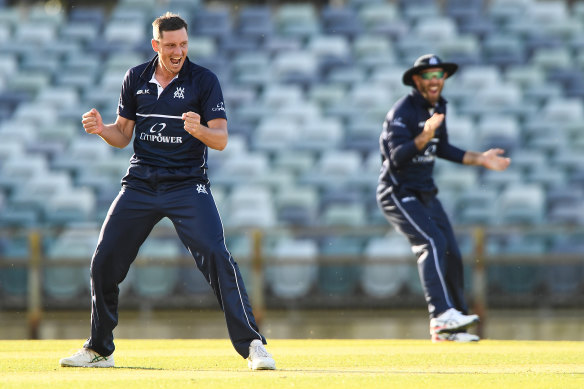 Chris Tremain celebrates a late wicket against WA.